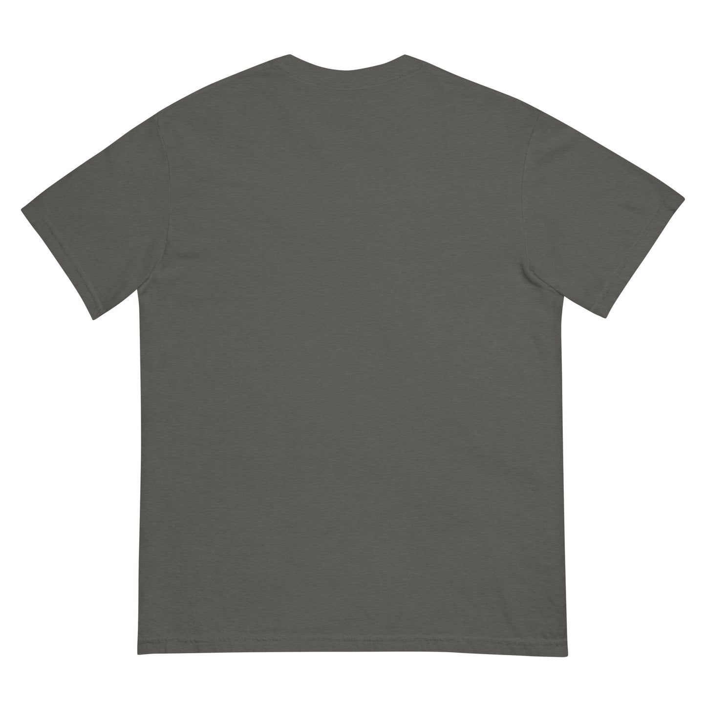 Plain dark gray t-shirt on a white background