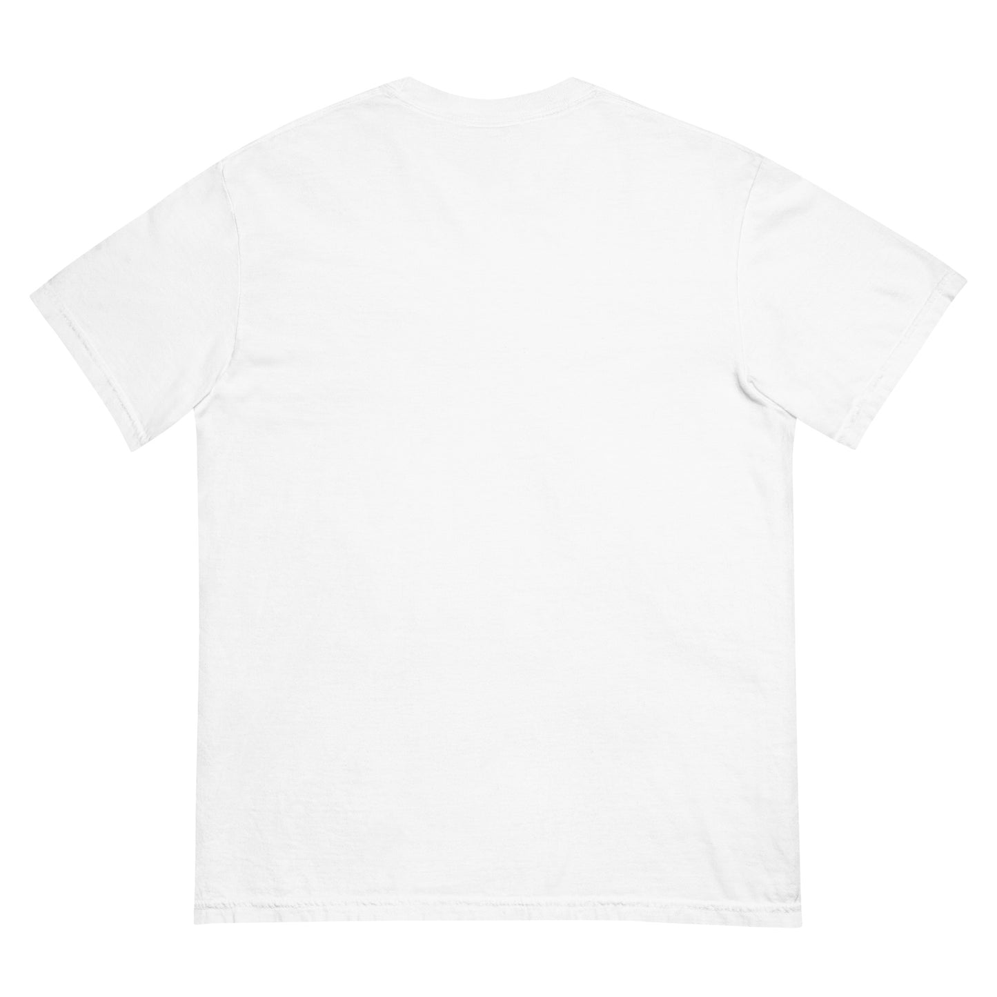 Plain white t-shirt on a white background