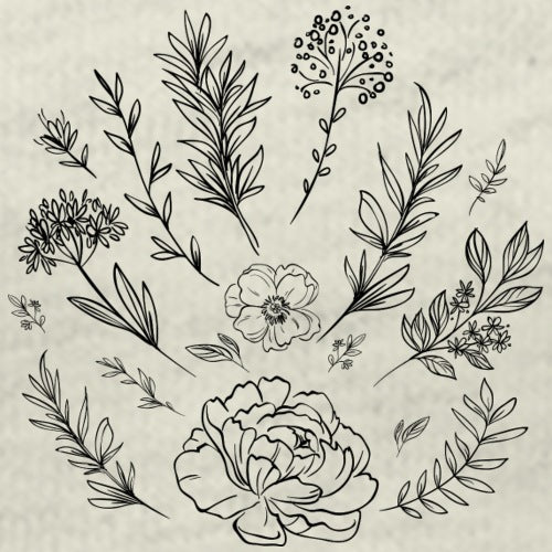 Set of black line art floral elements on a beige background