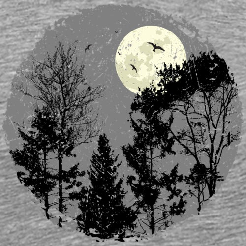 Dark forest illustration evoking quiet nights and natural wonder.