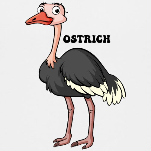 Cartoon ostrich with 'Ostrich' text on a white background