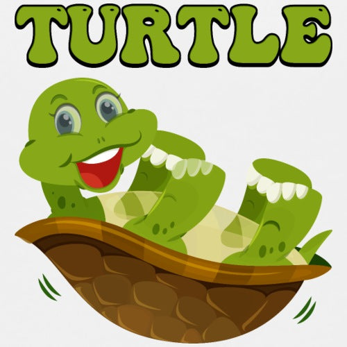 Cartoon turtle with a smiling expression on a white background