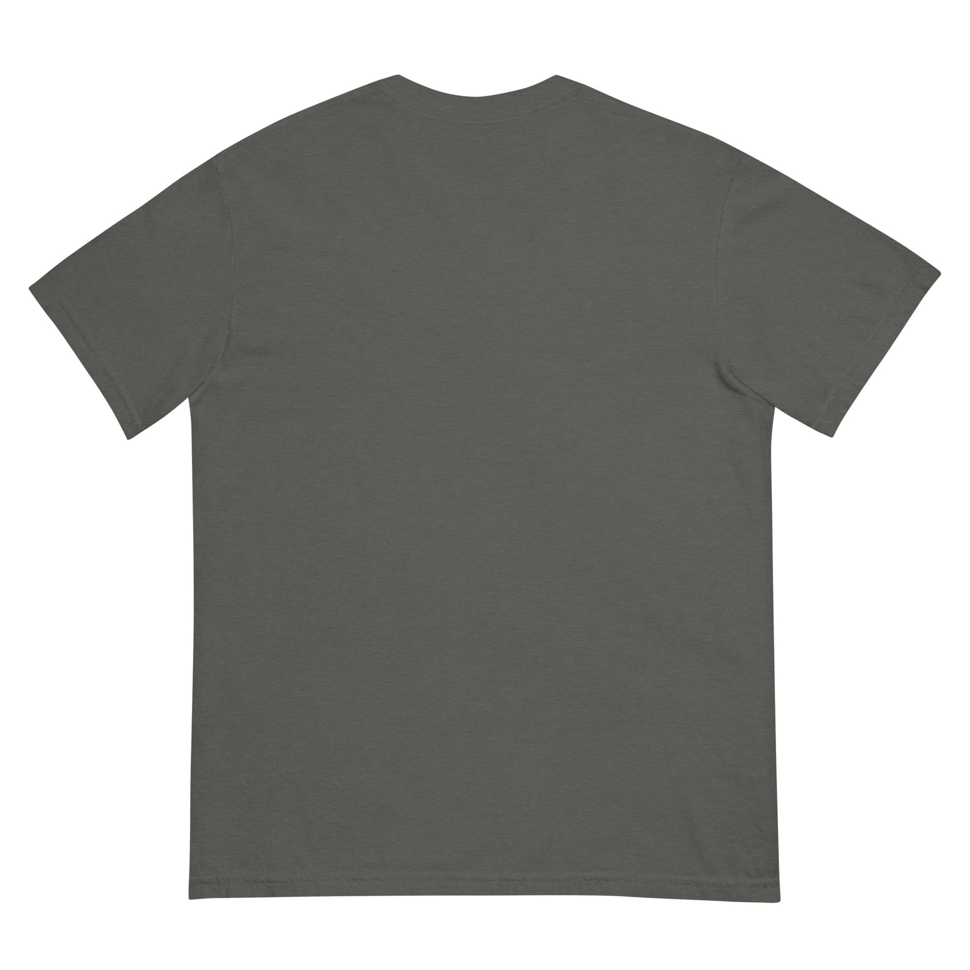 Plain dark gray t-shirt on a white background