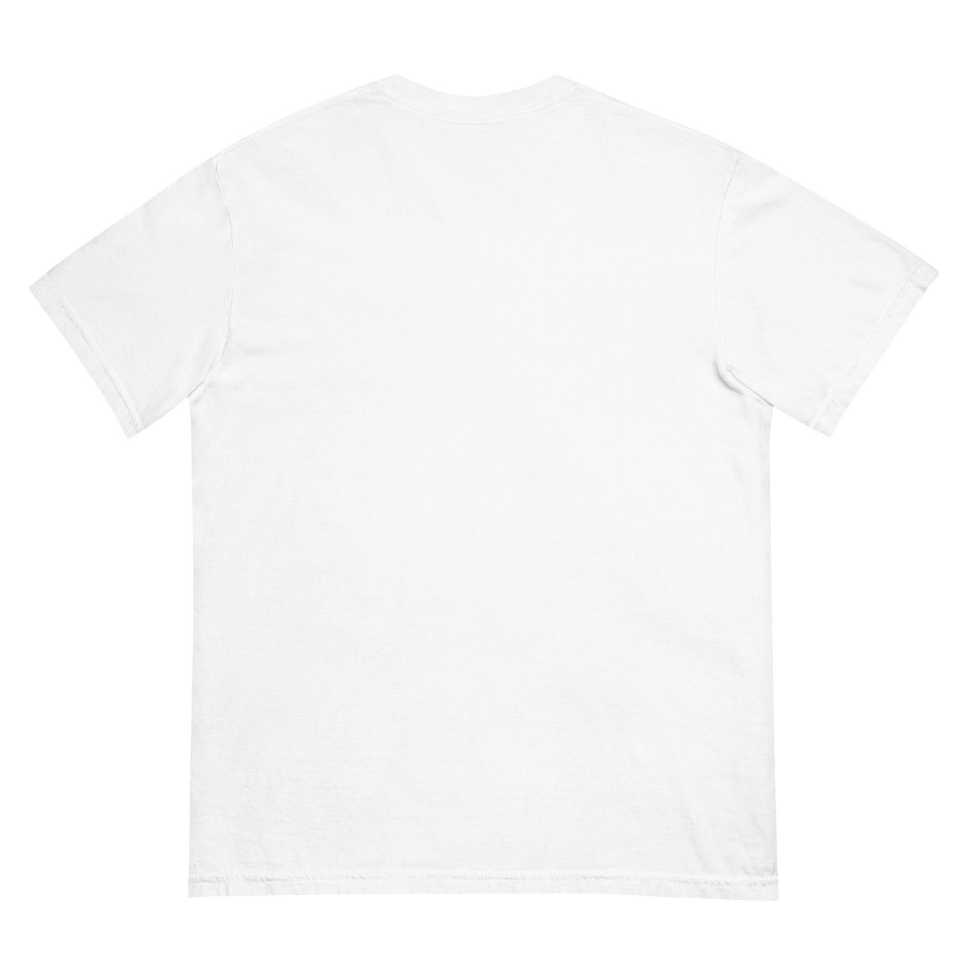 Plain white t-shirt on a white background